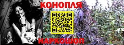 стафф Славянск-на-Кубани
